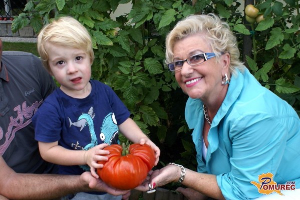 En paradižnik za deset gostov